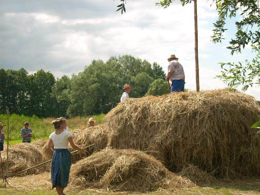 Spreewaldunterkunft Buchecker Lübben Buitenkant foto